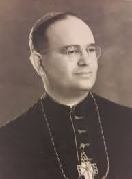 Dom João Costa